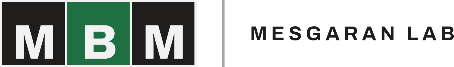 MBM · Mesgaran Lab