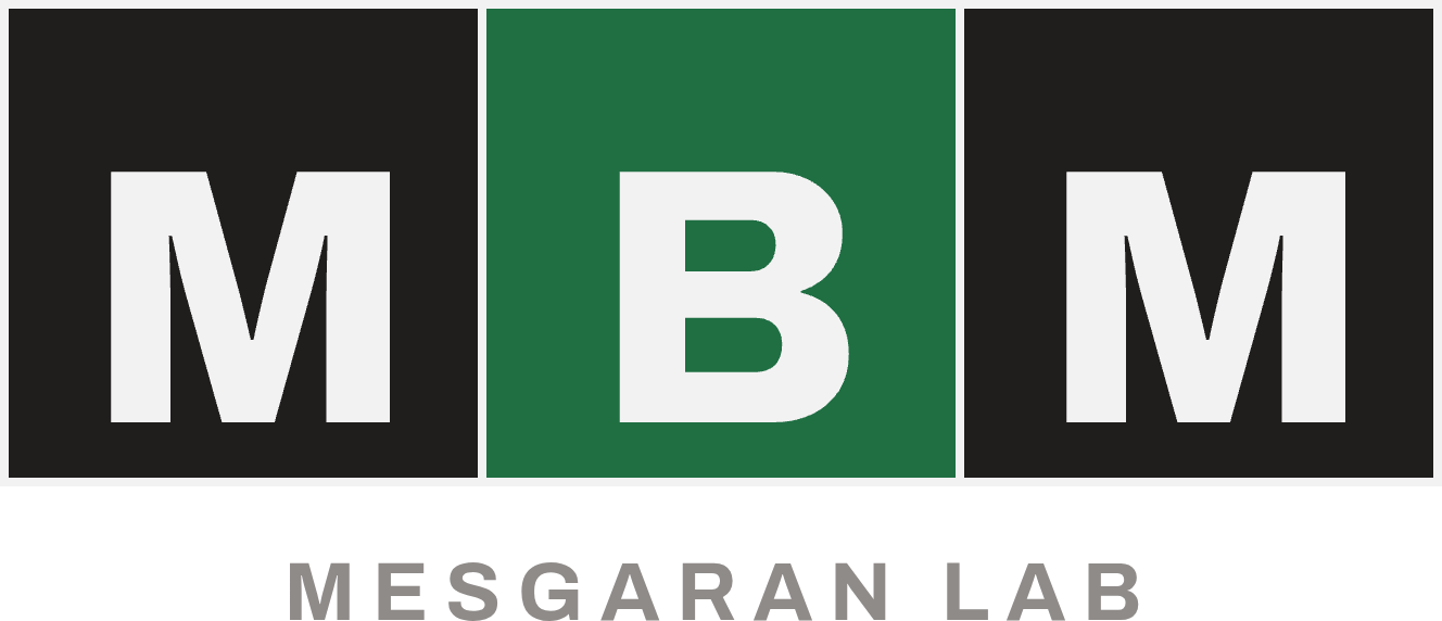 MBM · Mesgaran Lab